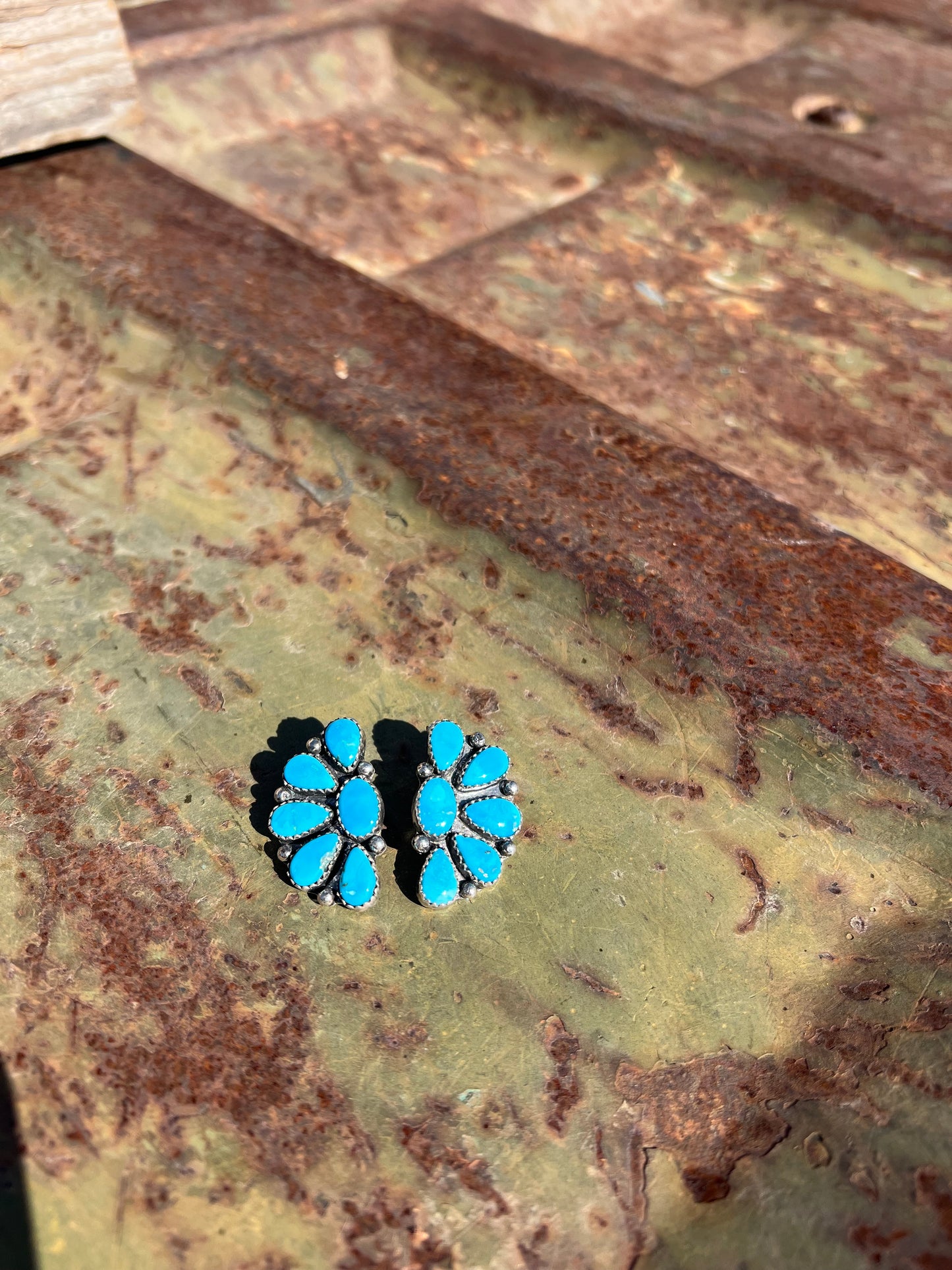 Blue Bird Beauties