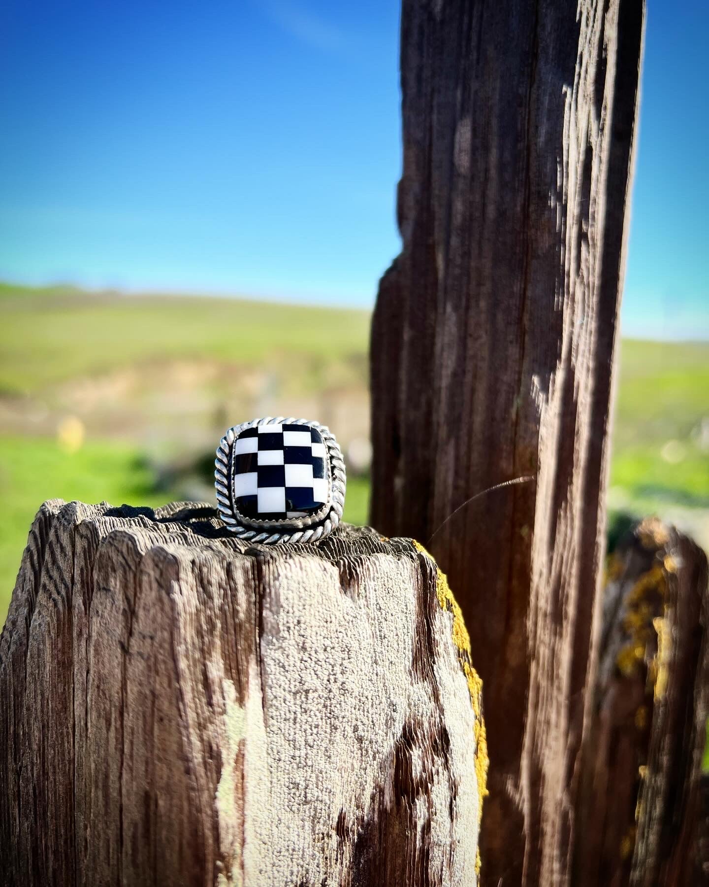 Race Day