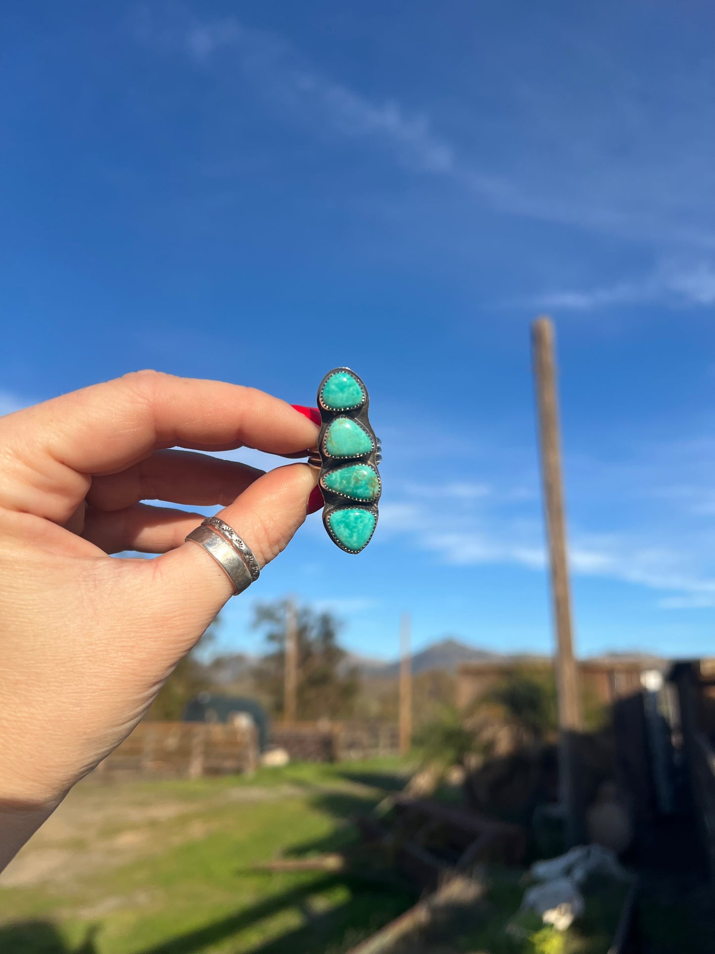 Sea Turtle Adjustable