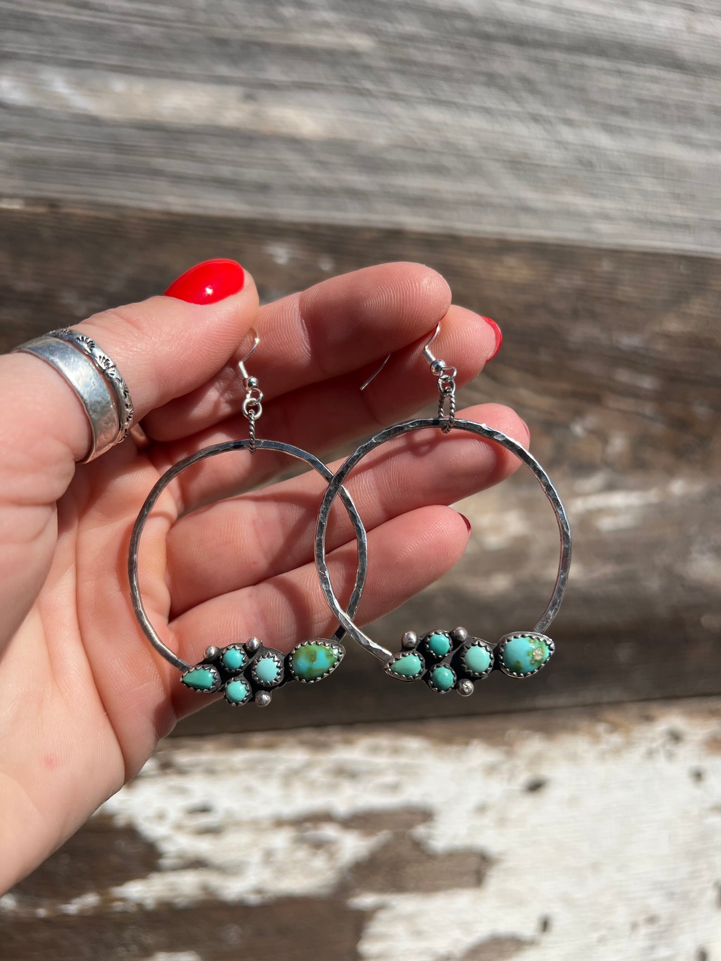 Turtle Hoops