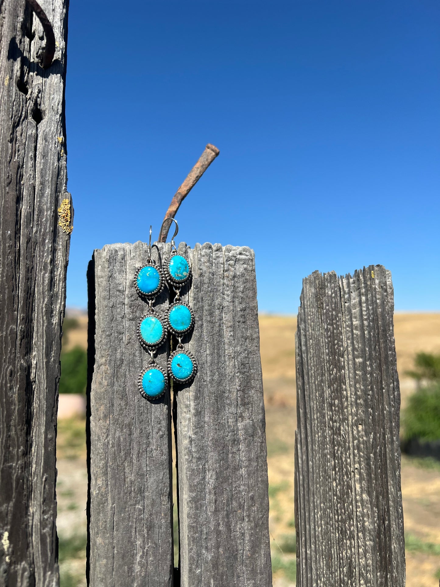 Blue Ridge Dangling Darlings