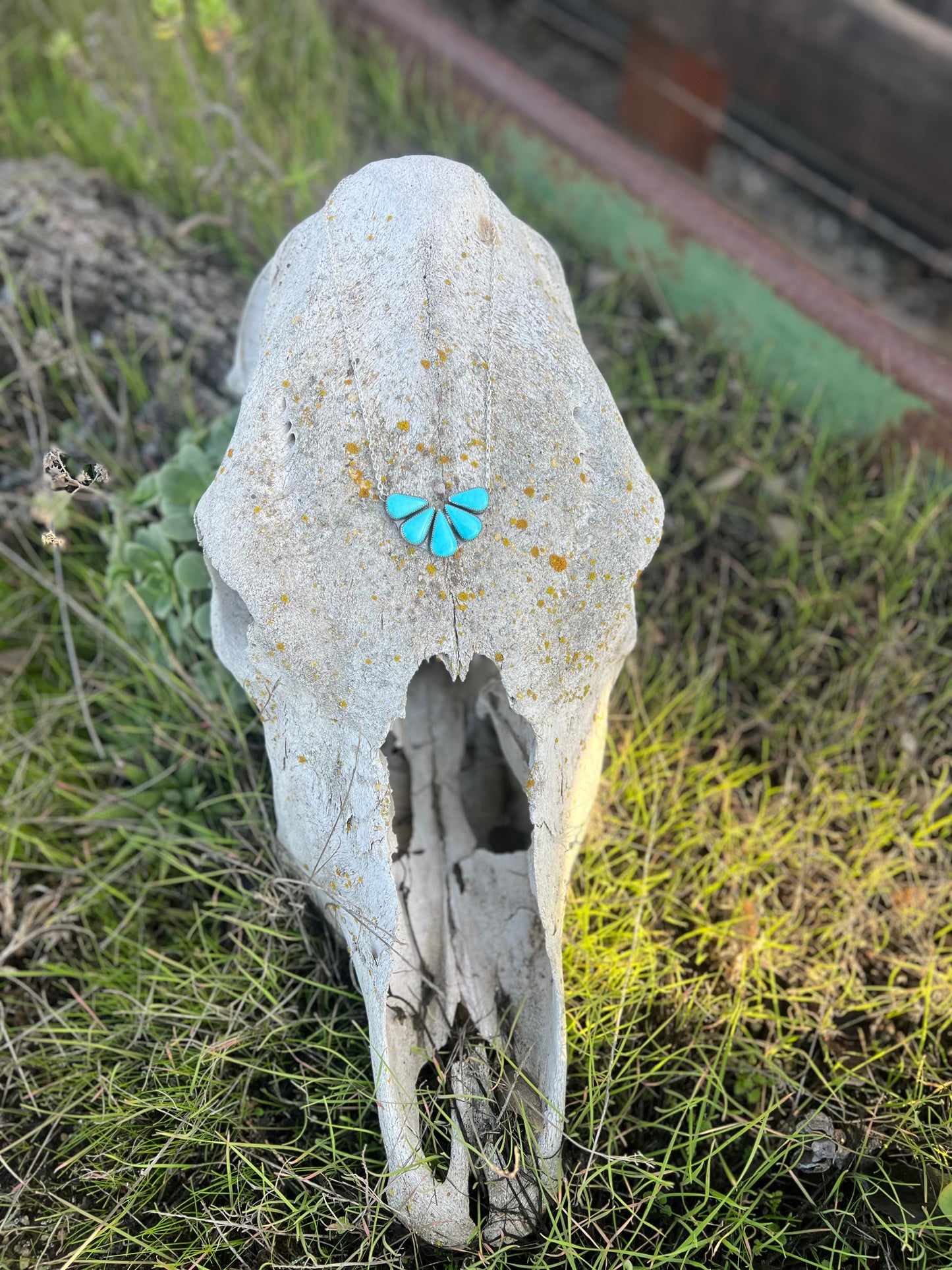 Sonora Turquoise Blue