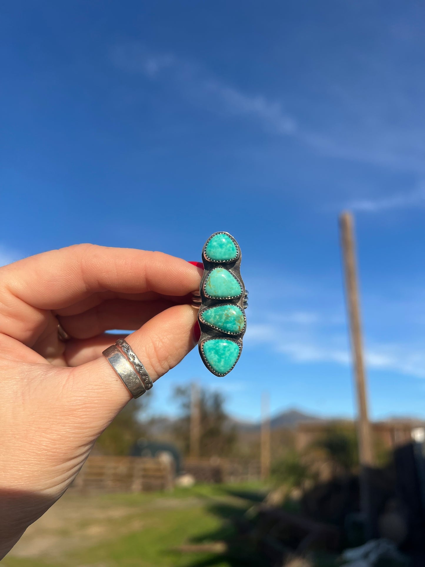 Sea Turtle Adjustable