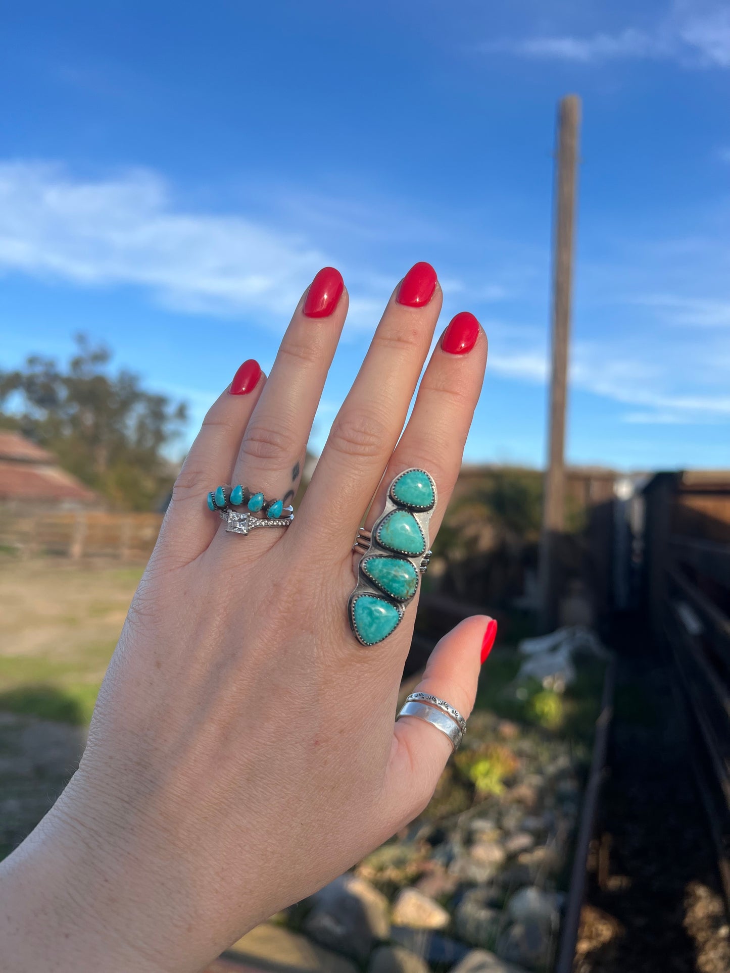 Sea Turtle Adjustable