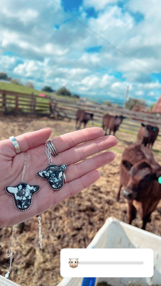 The COWS 🐮😍