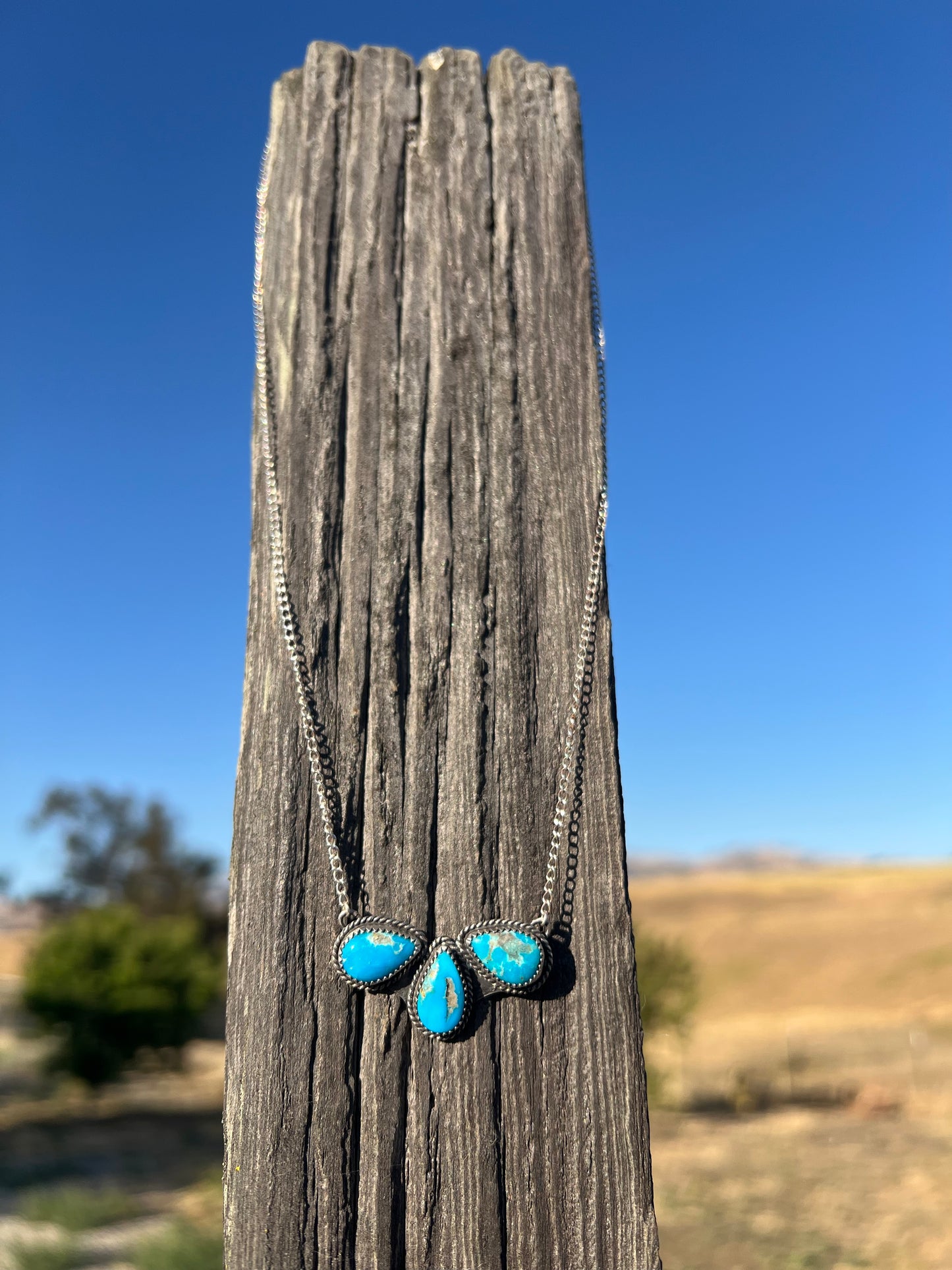 Blue Ridge Roper