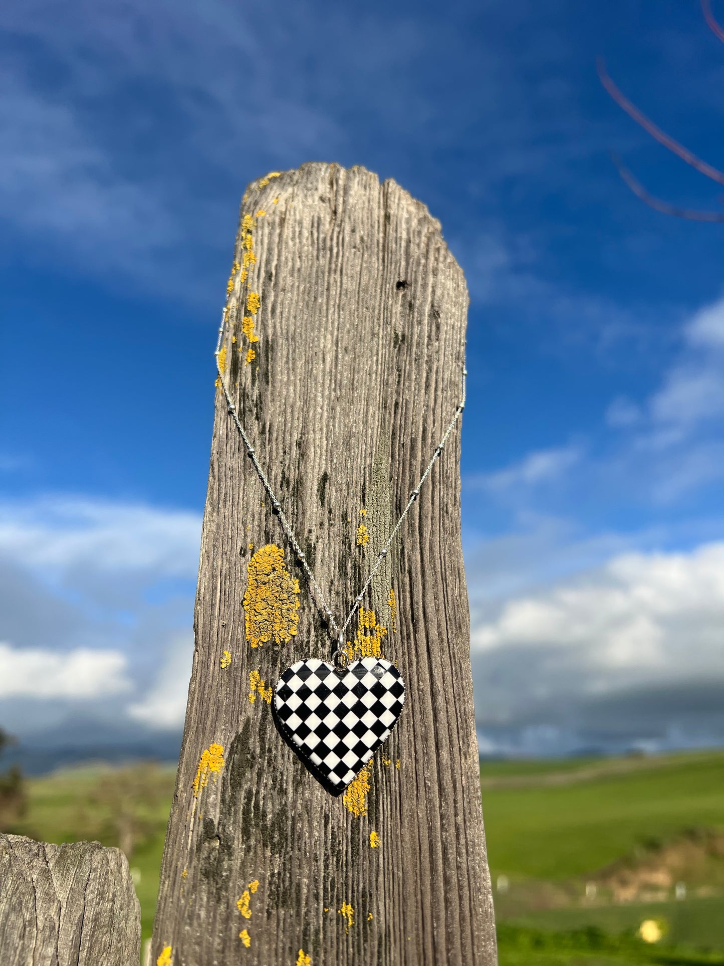 Checkered my heart