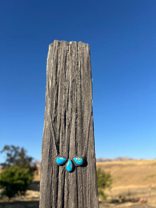 Blue Ridge Roper