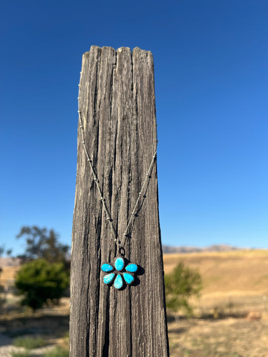 Blue Bird