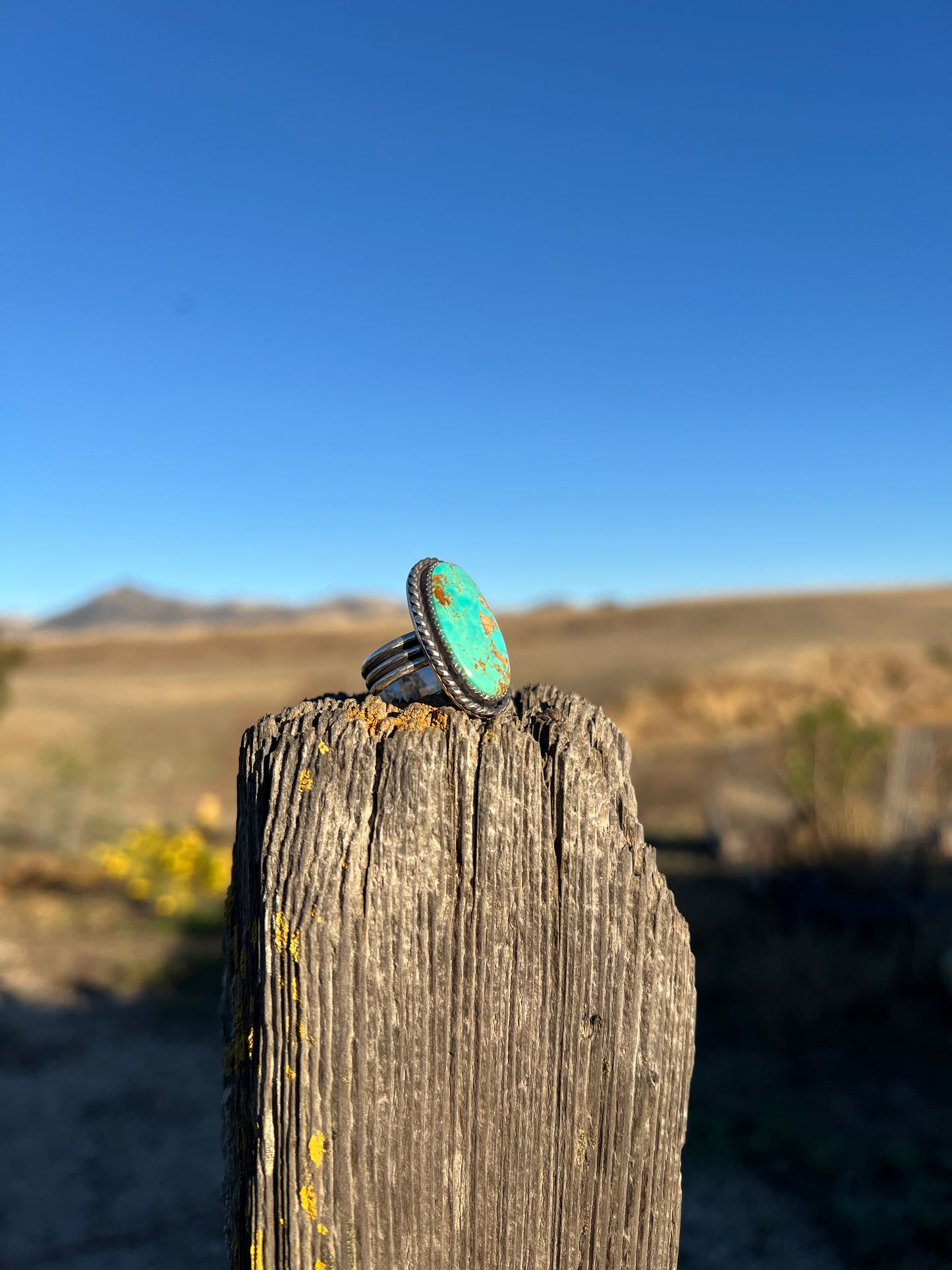 Turquoise Oval Ring