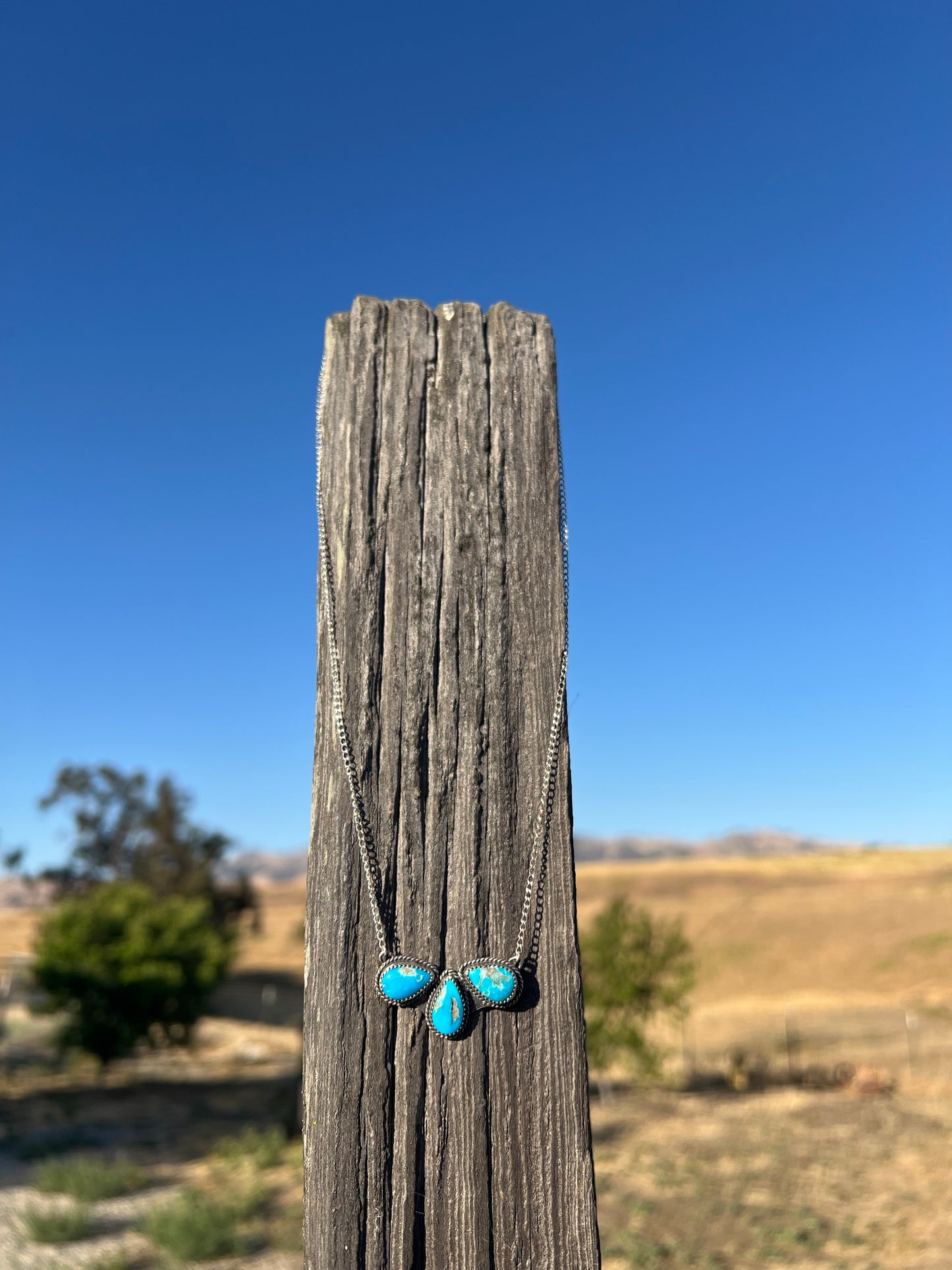 Blue Ridge Roper