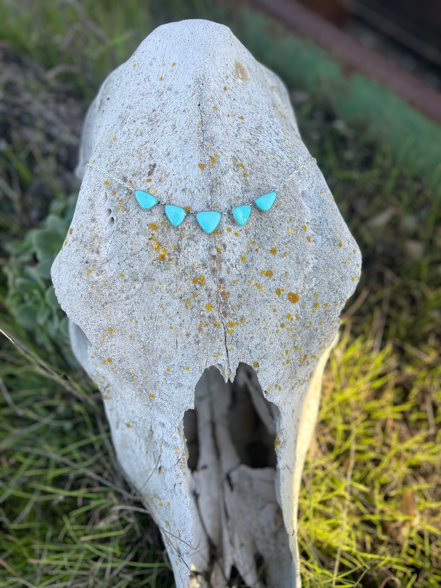 Sonora Turquoise Choker