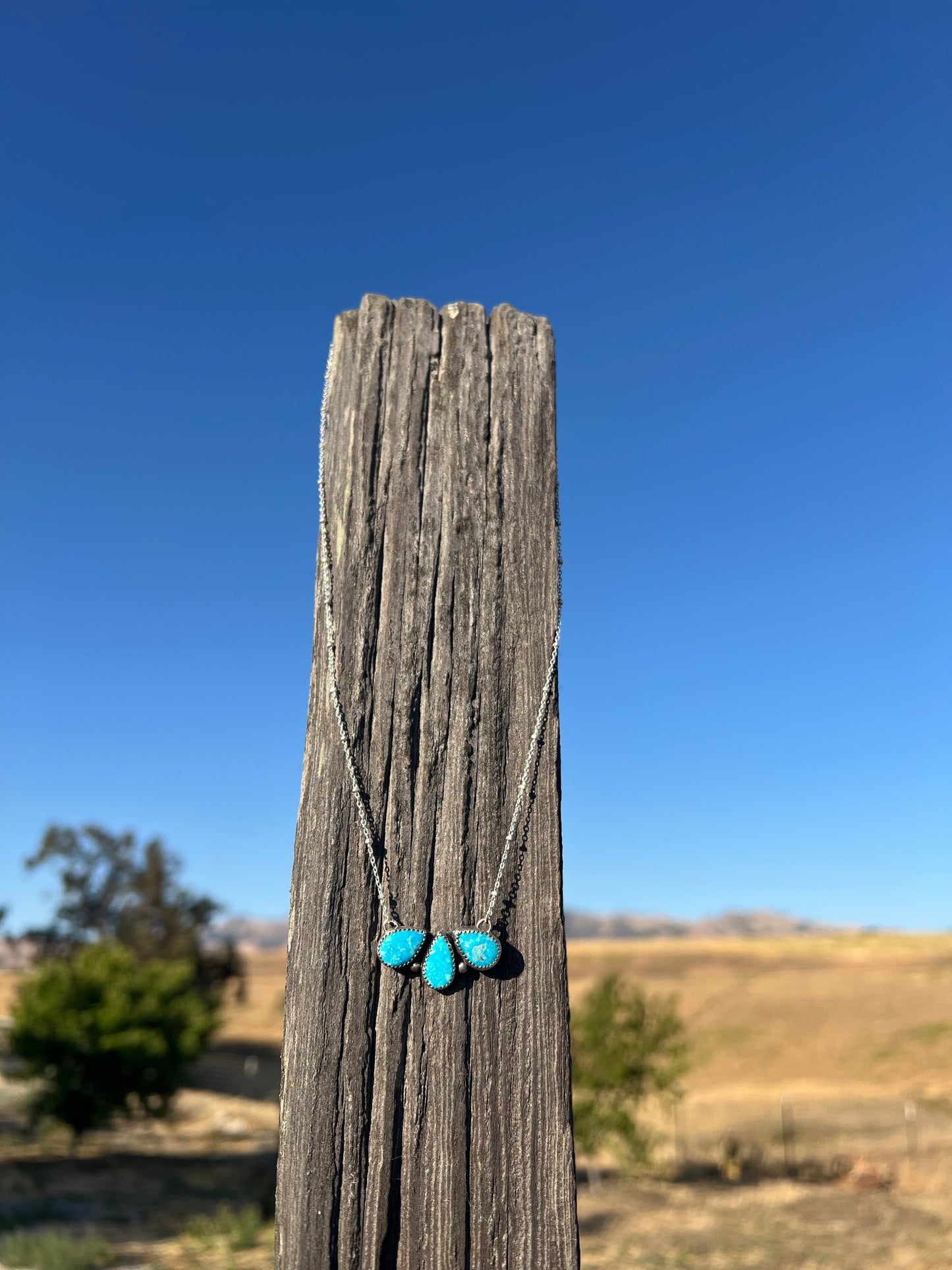 Blue Ridge Trio