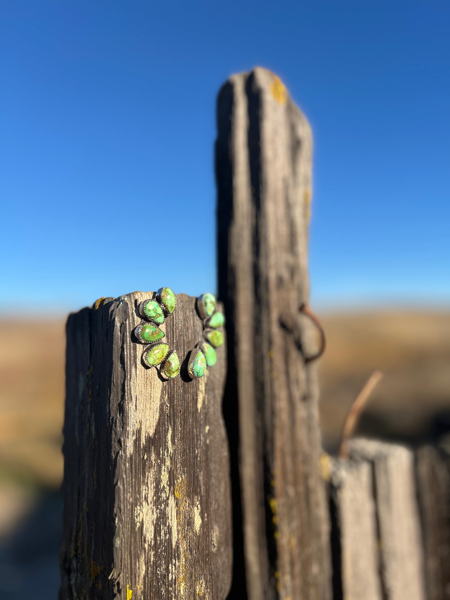 Sonoran Turquoise Earrings