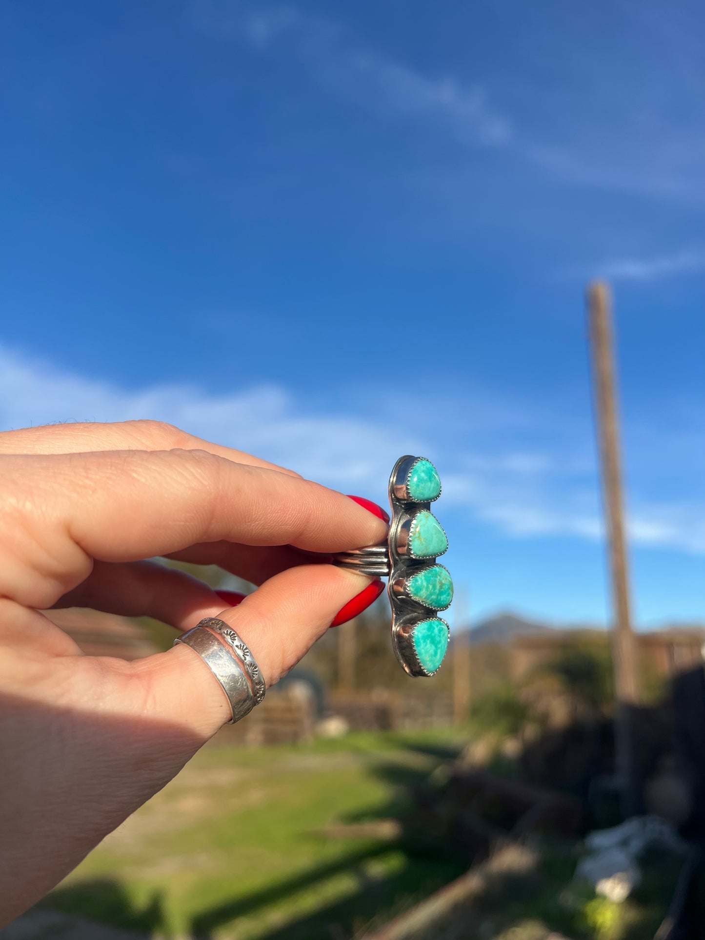 Sea Turtle Adjustable