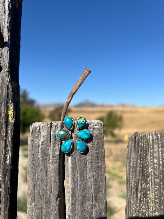 Sonoran Gem Turquoise