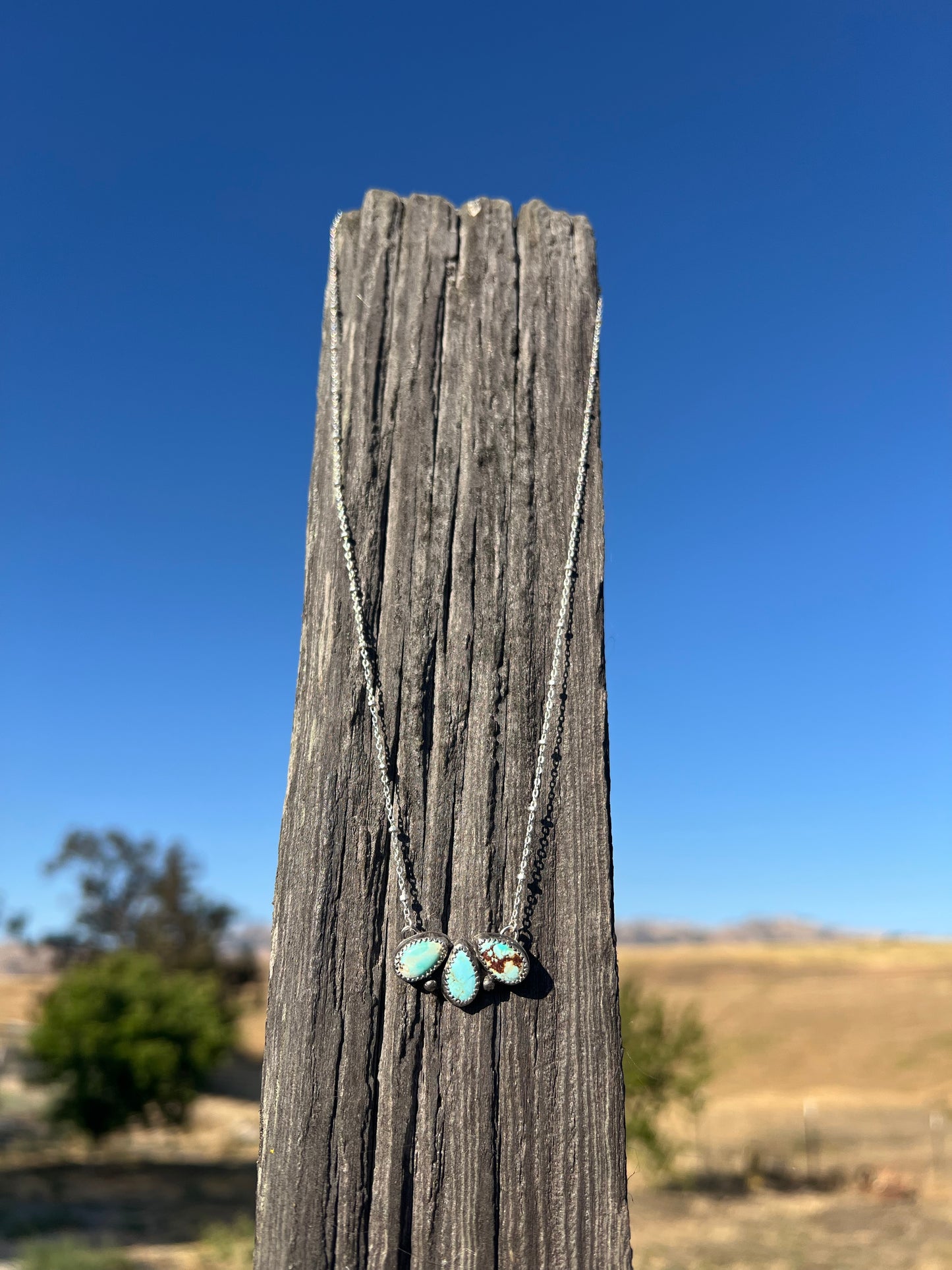 Golden Hills Cutie