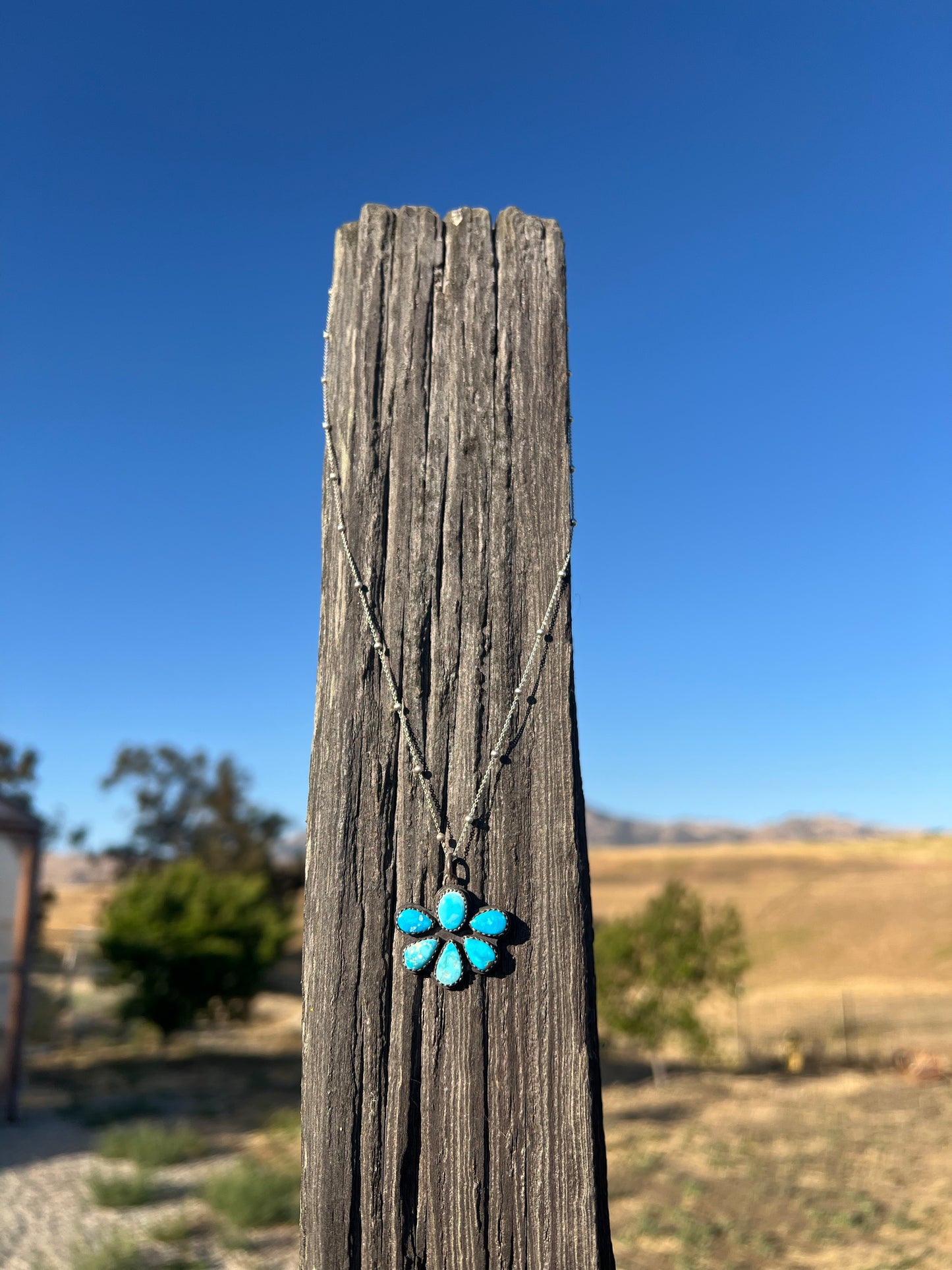 Blue Bird