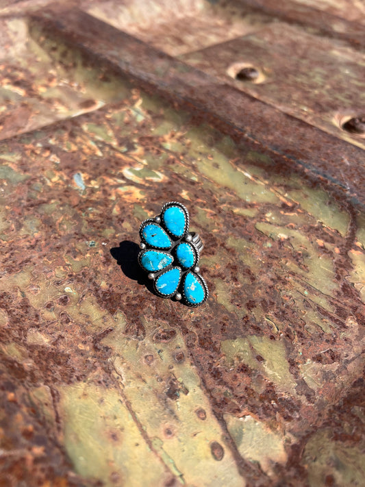 Blue Bird Beauty