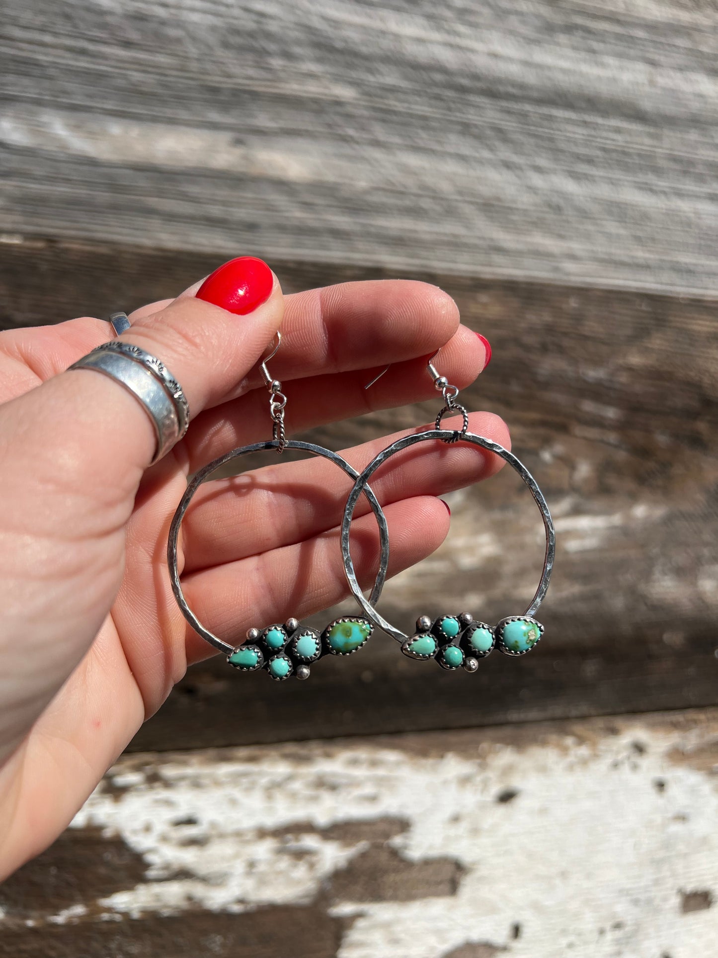 Turtle Hoops