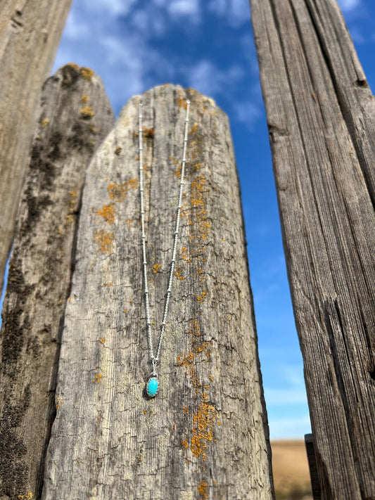 Tiny Turquoise Pop!