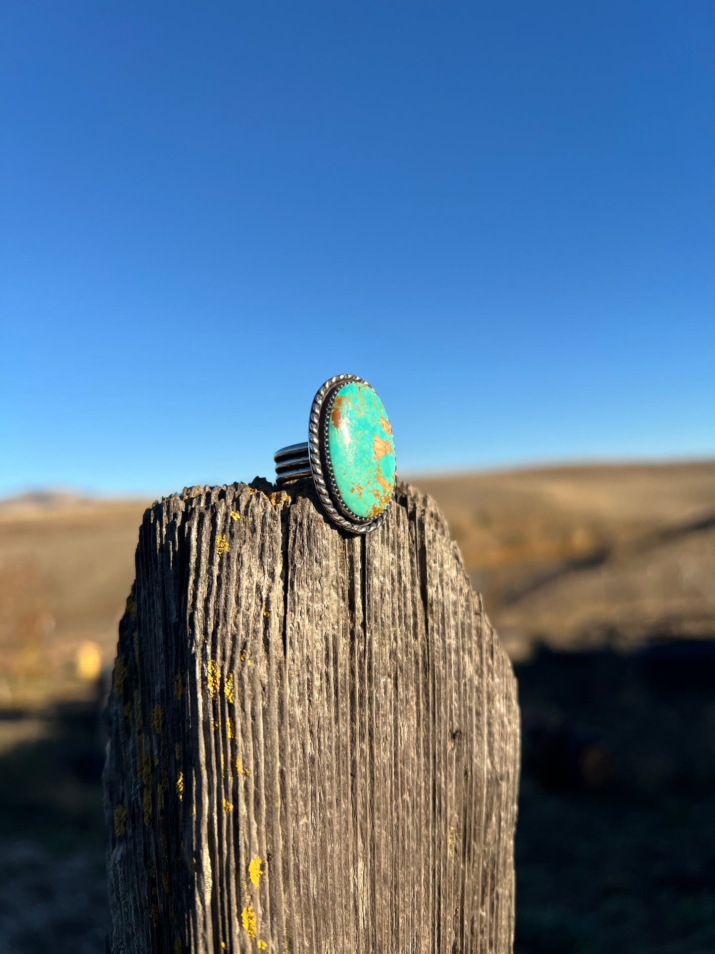 Turquoise Oval Ring