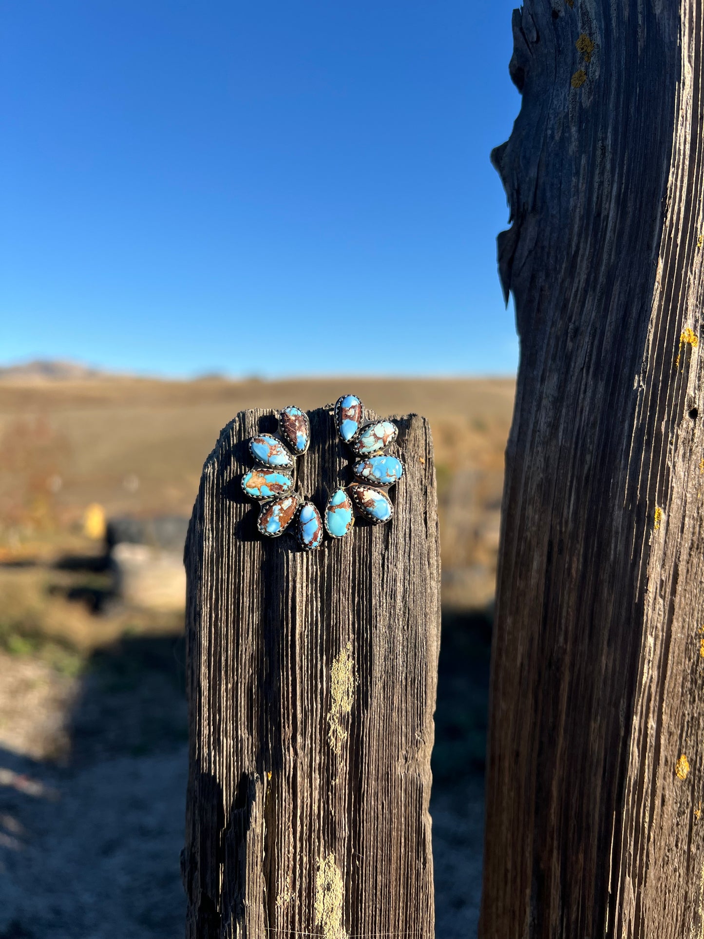 Golden Hills Earrings