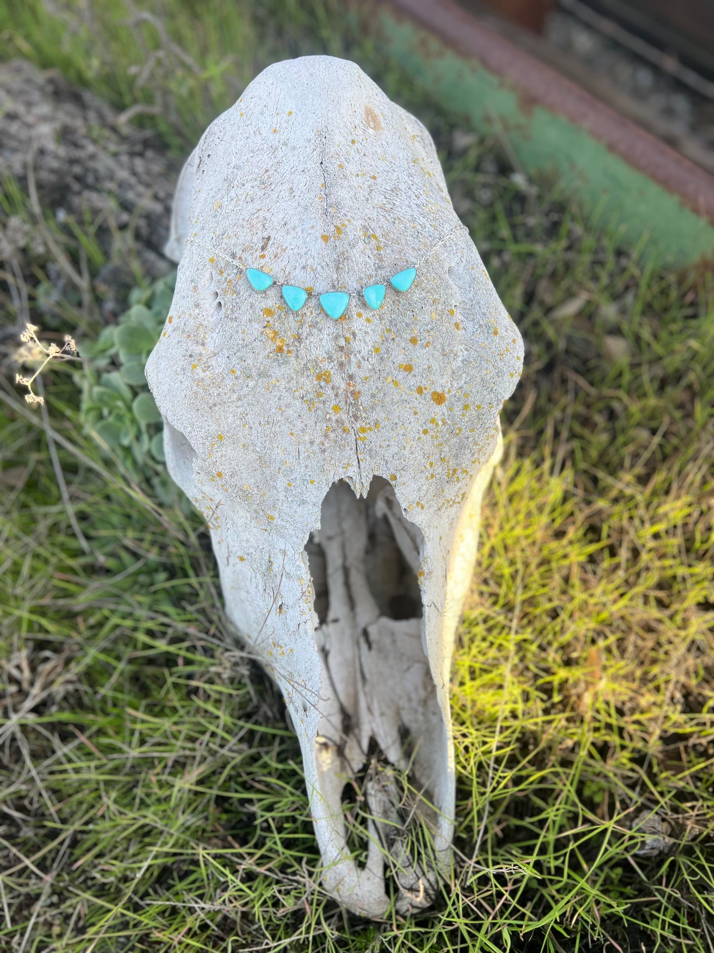 Sonora Turquoise Choker