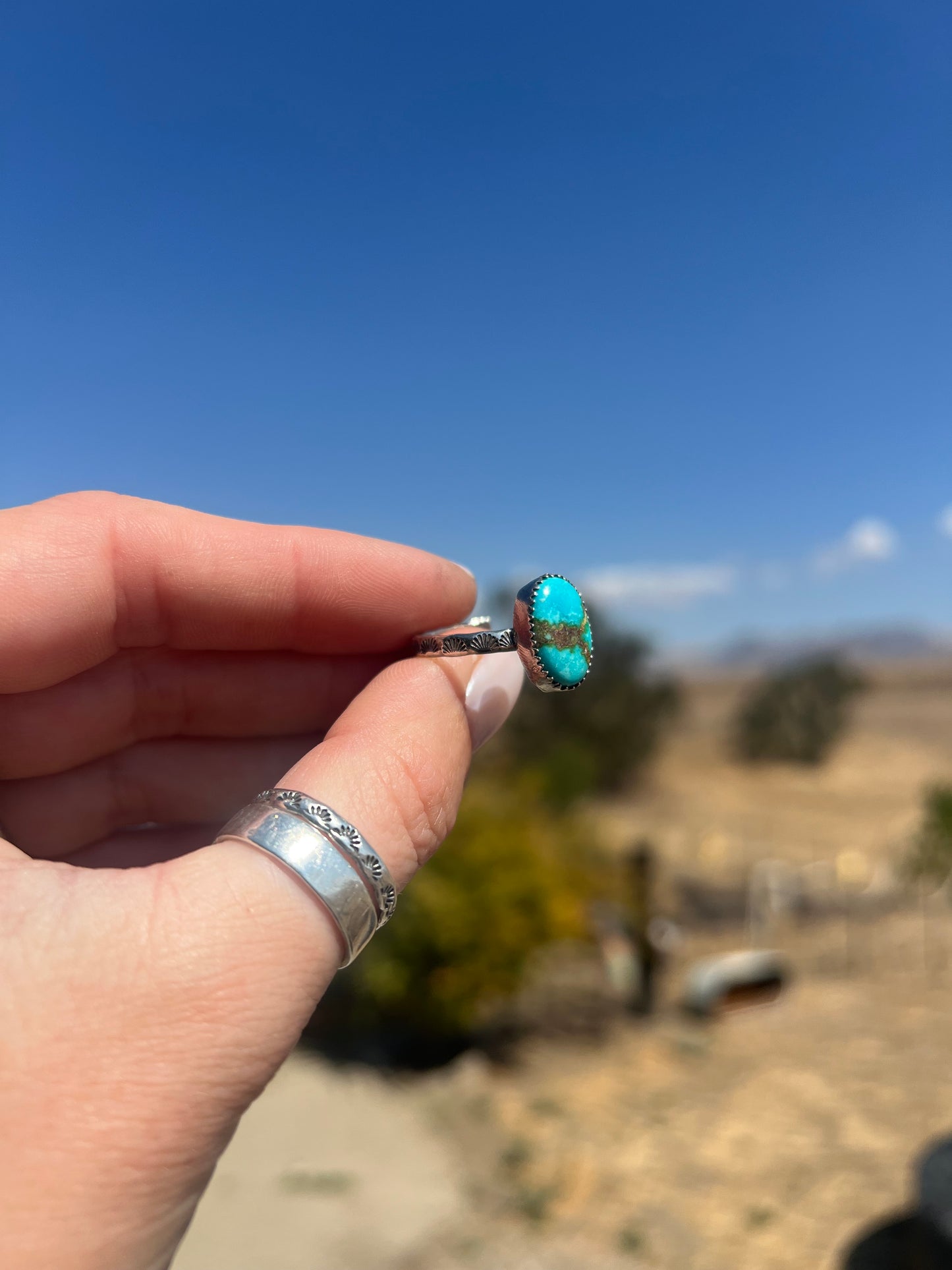 Adjustable Sonoran Turquoise Ring