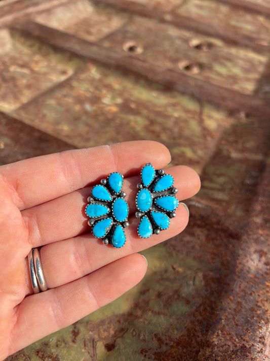 Blue Bird Beauties