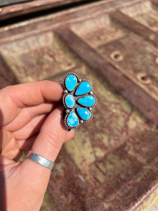 Blue Bird Beauty