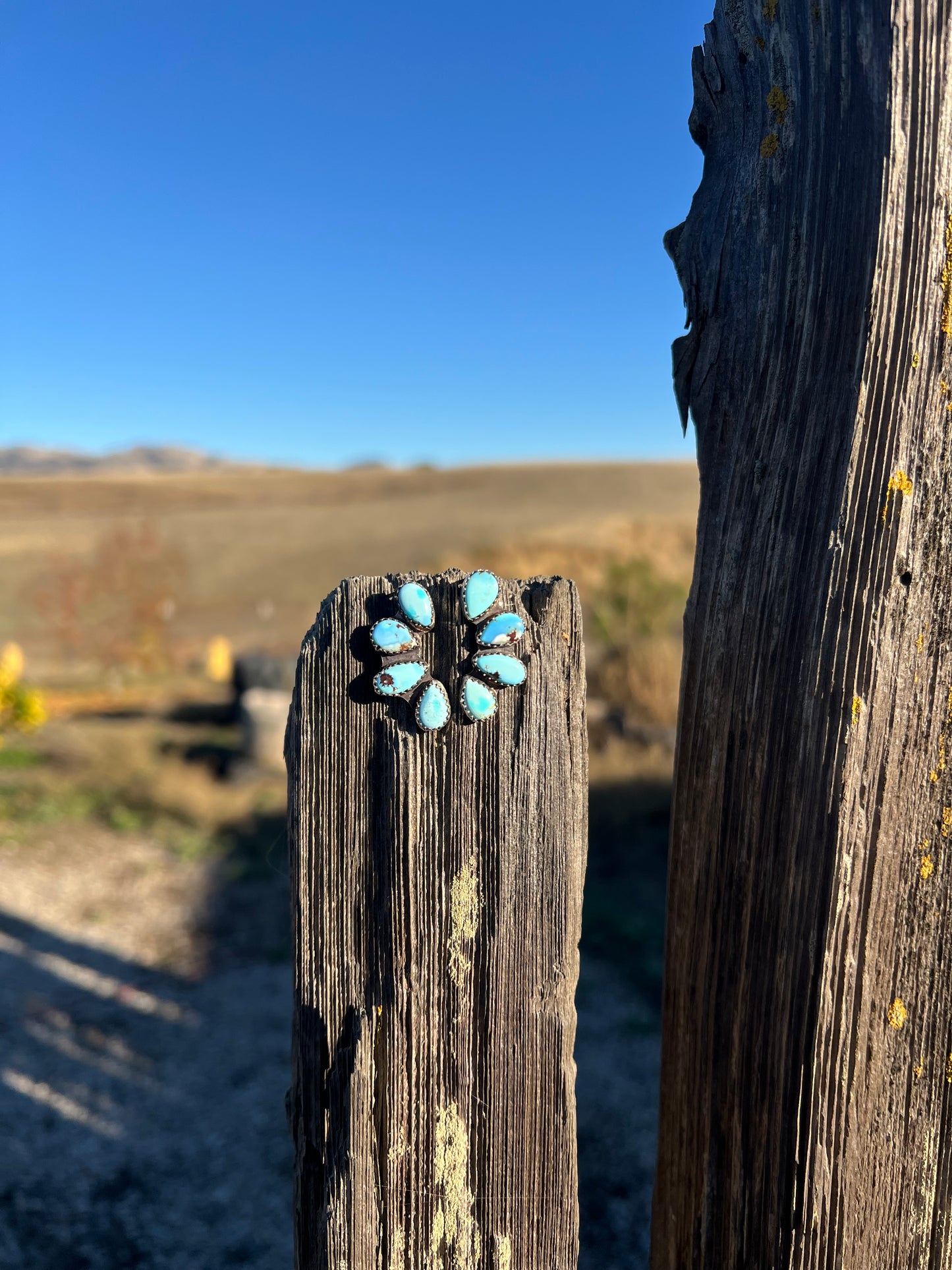 Golden Hills Earrings