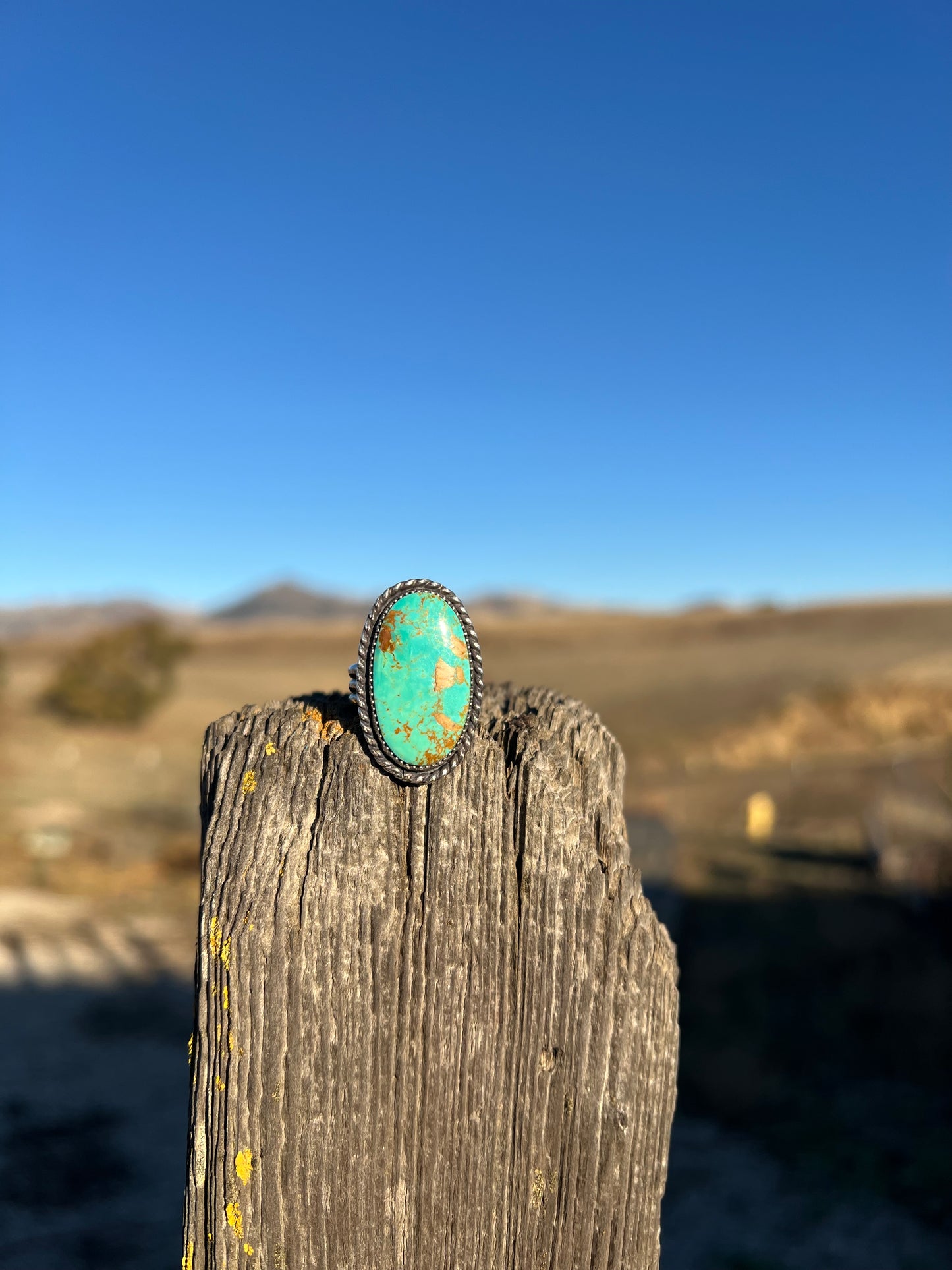 Turquoise Oval Ring