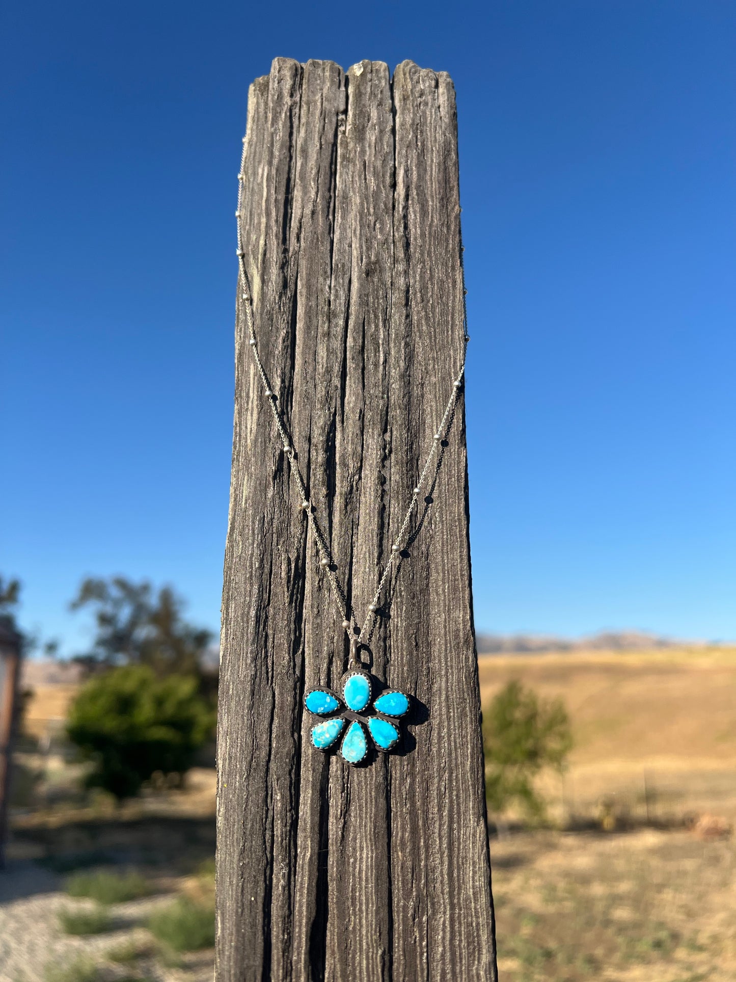 Blue Bird